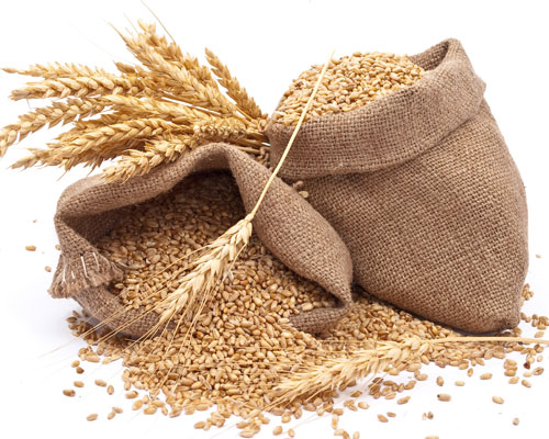 2016'da bunlara para yatıran köşeyi döndü - 3