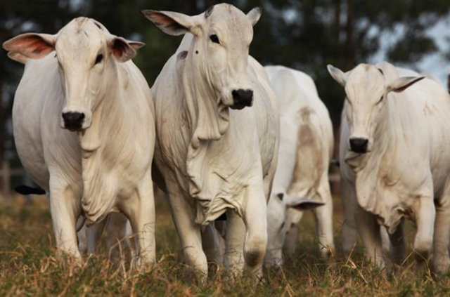 2016'da bunlara para yatıran köşeyi döndü - 4