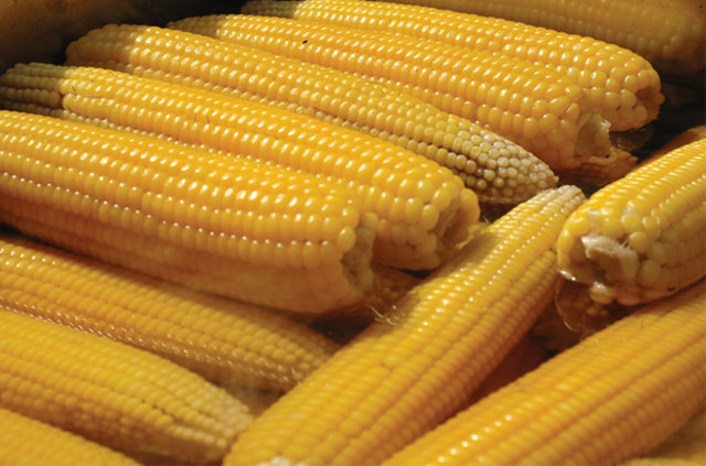 2016'da bunlara para yatıran köşeyi döndü - 5