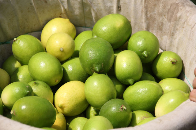 Limon suyunun faydaları - 7