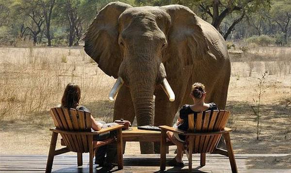 Rahatlıklarıyla şaşırttılar! - 1