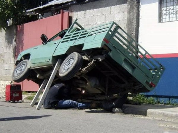 Rahatlıklarıyla şaşırttılar! - 2