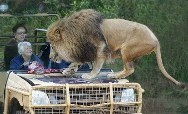 Rahatlıklarıyla şaşırttılar! - 3