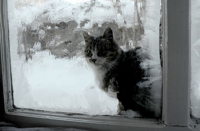 Kar yağışı İstanbul'a yeniden geliyor! - 22