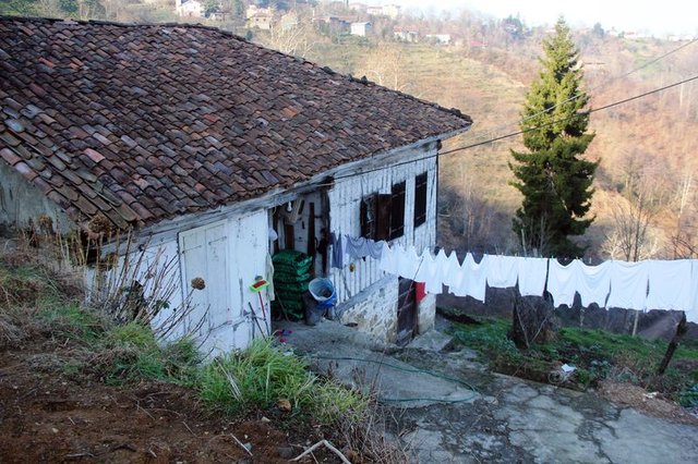 Cinnet geçirdi! Yaptıklarına kendi de inanmadı - 16