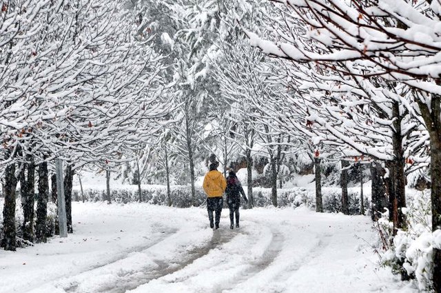 Yarından itibaren hava nasıl olacak? - 16