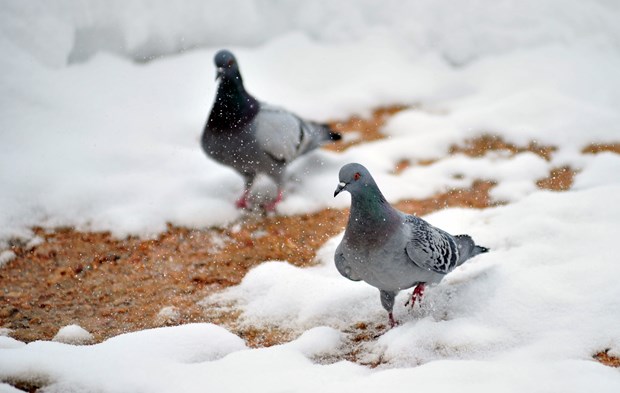 Yarından itibaren hava nasıl olacak? - 17