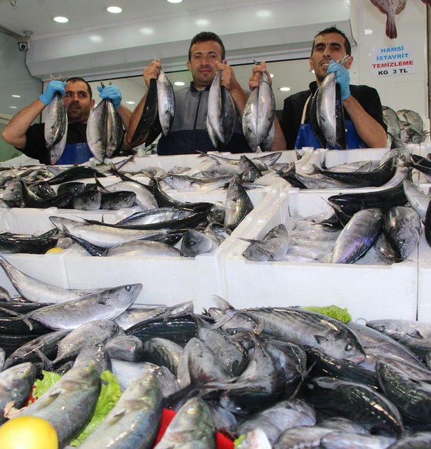 Türkiye, Palamut avında rekor kırdı - 4