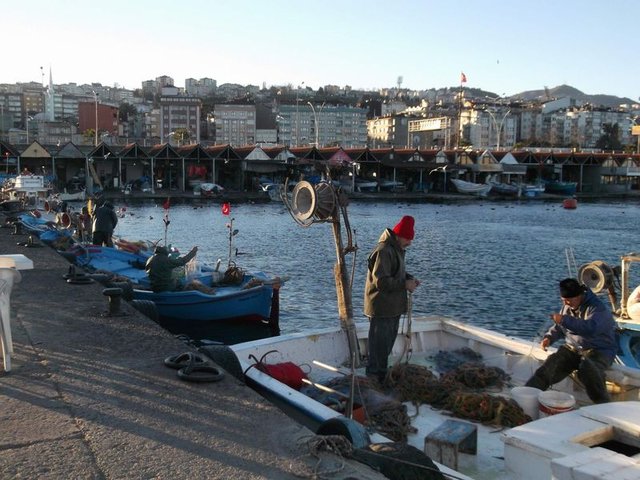 Türkiye, Palamut avında rekor kırdı - 7