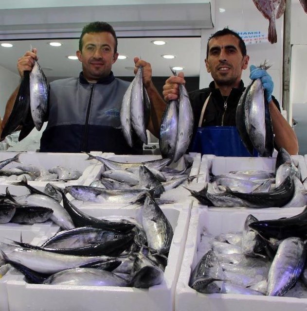 Türkiye, Palamut avında rekor kırdı - 8