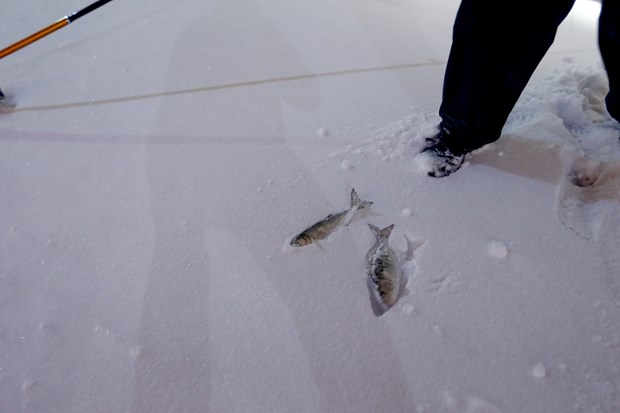 İstanbul'dan kar manzaraları - 42