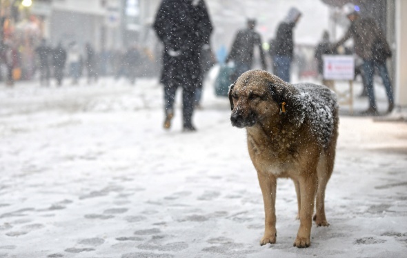 İstanbul'dan kar manzaraları - 69