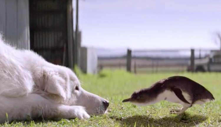 Bunları daha önce hiç duymadınız! - 5