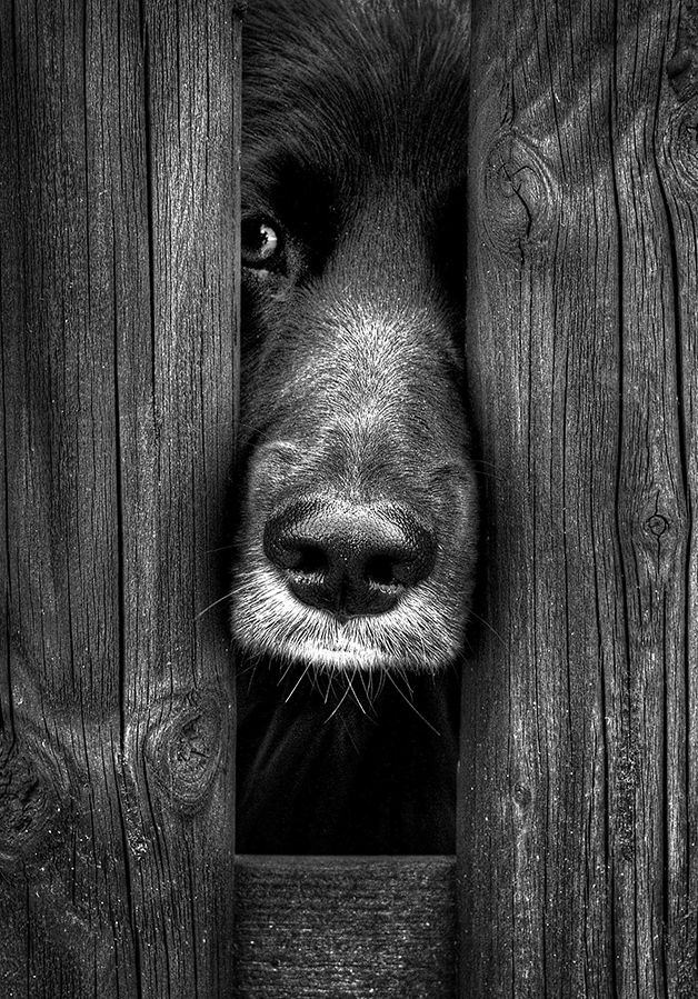 Bunları daha önce hiç duymadınız! - 19