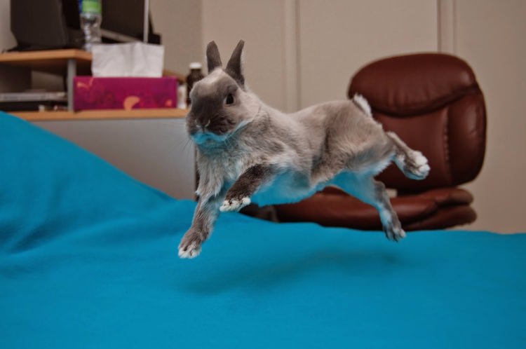 Bunları daha önce hiç duymadınız! - 16