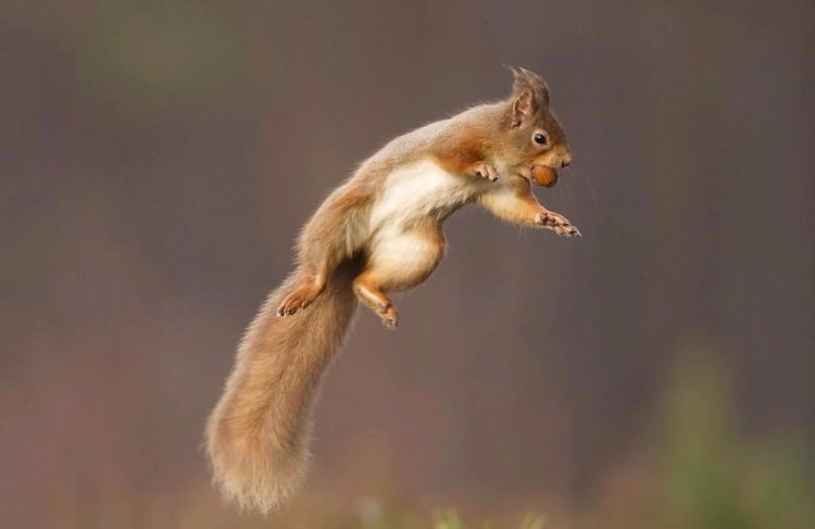 Bunları daha önce hiç duymadınız! - 18