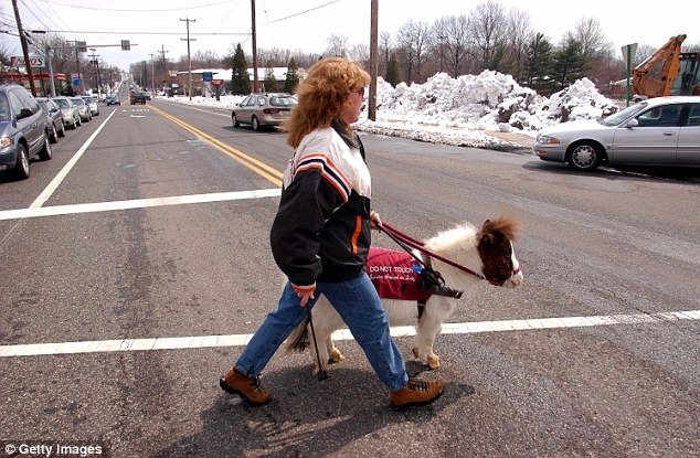 Bunları daha önce hiç duymadınız! - 22