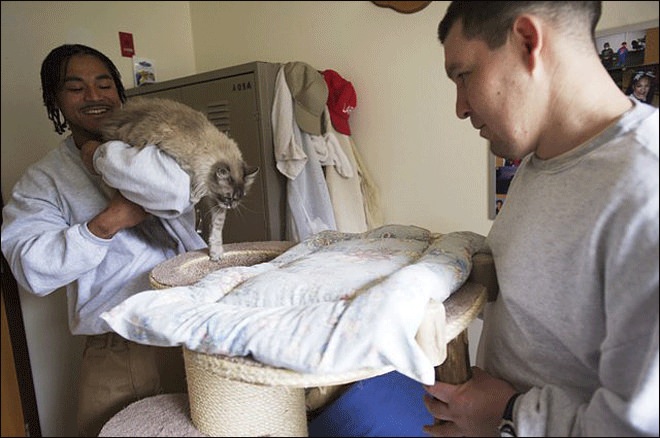 Bunları daha önce hiç duymadınız! - 23