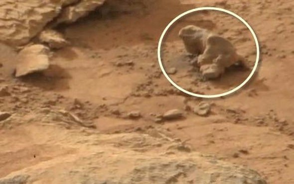 Mars'tan dünyaya gelen sıra dışı görüntüler... - 16