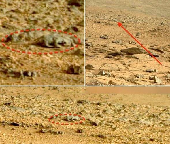 Mars'tan dünyaya gelen sıra dışı görüntüler... - 18