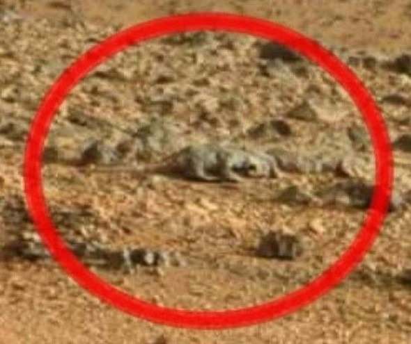 Mars'tan dünyaya gelen sıra dışı görüntüler... - 19