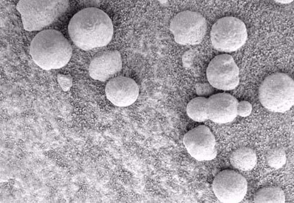 Mars'tan dünyaya gelen sıra dışı görüntüler... - 40