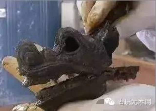 Arkeolojik kazıda şaşkına çeviren manzara! - 5