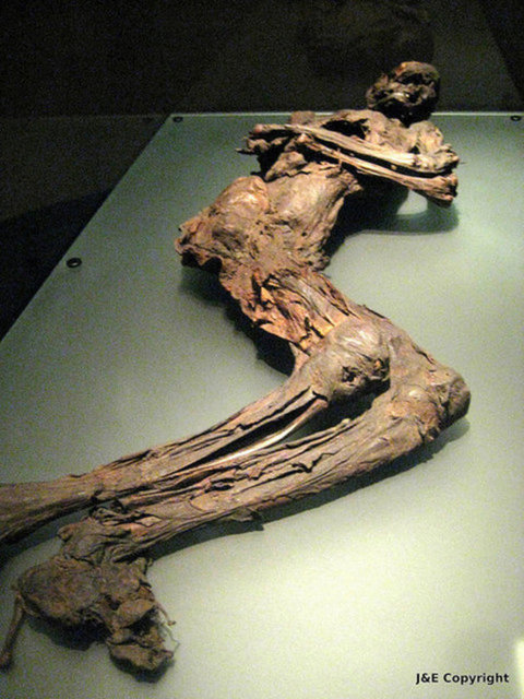 Arkeolojik kazıda şaşkına çeviren manzara! - 34