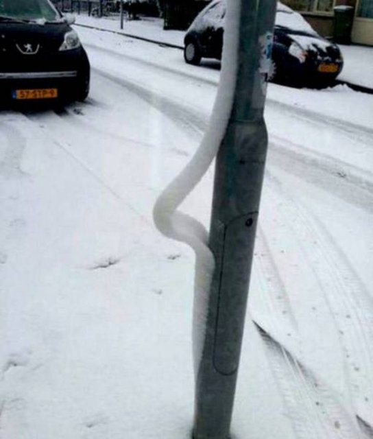 Bu fotoğraflar Photoshop değil gerçek! - 24