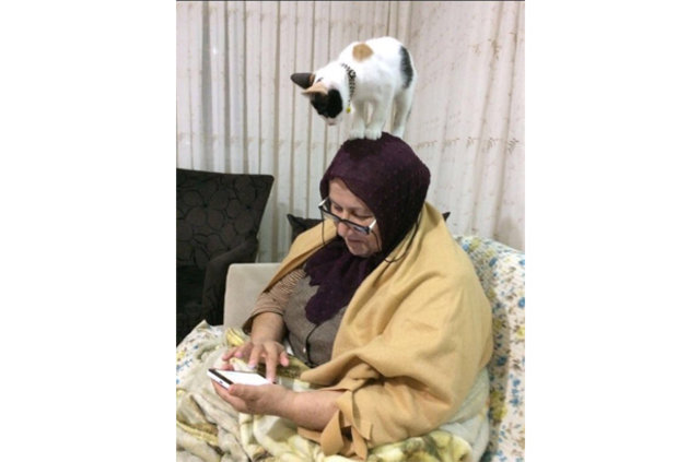 Anlam verilemeyen fotoğraflar - 8