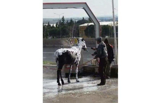 Anlam verilemeyen fotoğraflar - 15