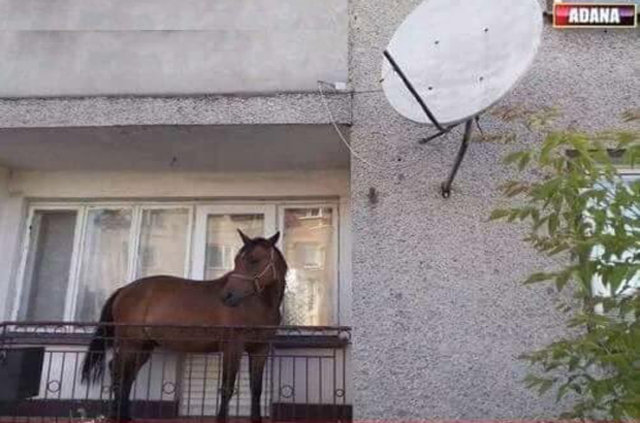 Anlam verilemeyen fotoğraflar - 4