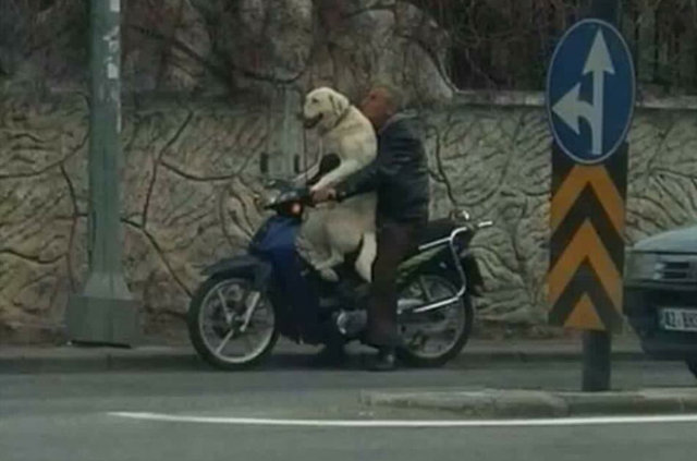 Anlam verilemeyen fotoğraflar - 18