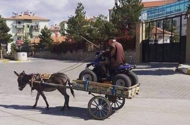 Anlam verilemeyen fotoğraflar - 40