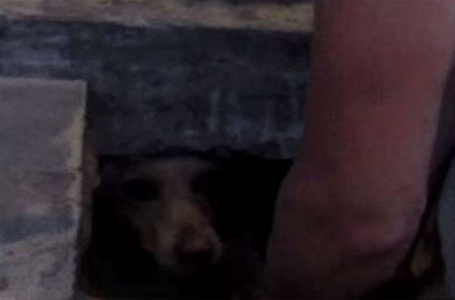 Rusya'da akılalmaz olay! Kaldırım taşlarını sökünce... - 6