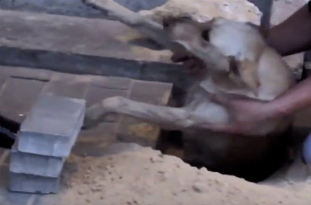 Rusya'da akılalmaz olay! Kaldırım taşlarını sökünce... - 8