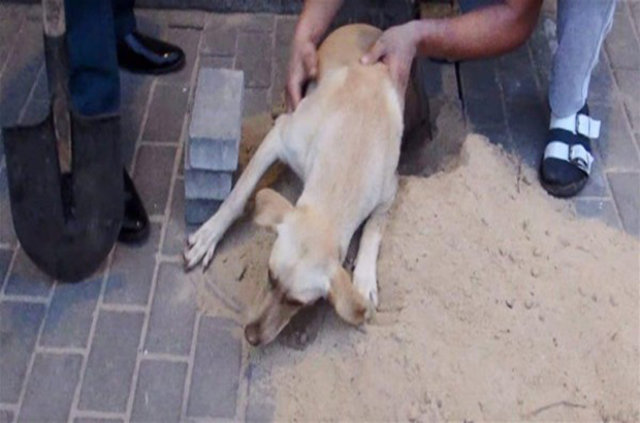 Rusya'da akılalmaz olay! Kaldırım taşlarını sökünce... - 10