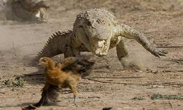 Telefonu gece şarjda bırakmak piline zarar verir mi? İşte doğru bildiğimiz yanlışlar! - 10