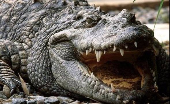 Telefonu gece şarjda bırakmak piline zarar verir mi? İşte doğru bildiğimiz yanlışlar! - 9