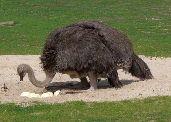 Telefonu gece şarjda bırakmak piline zarar verir mi? İşte doğru bildiğimiz yanlışlar! - 38