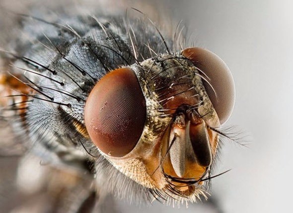 Telefonu gece şarjda bırakmak piline zarar verir mi? İşte doğru bildiğimiz yanlışlar! - 43