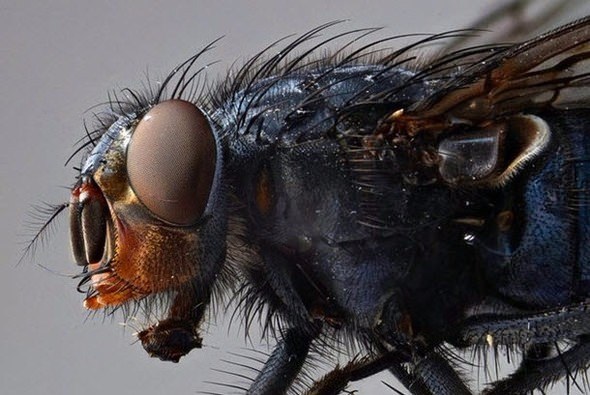 Telefonu gece şarjda bırakmak piline zarar verir mi? İşte doğru bildiğimiz yanlışlar! - 44