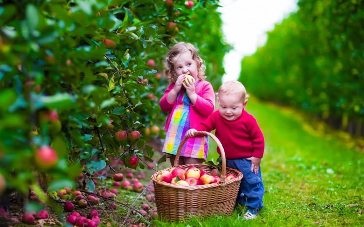 Peygamber efendimizin değiştirdiği isimler - 43