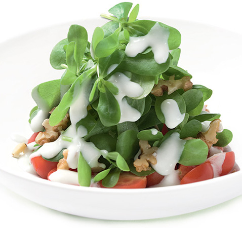 Semizotunun faydaları nelerdir? - 11