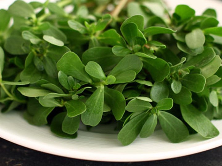 Semizotunun faydaları nelerdir? - 10