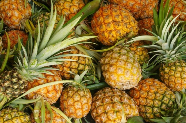 Ananas suyu ile kilo verin! - 6