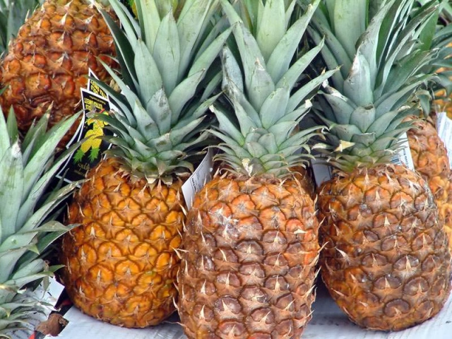 Ananas suyu ile kilo verin! - 3