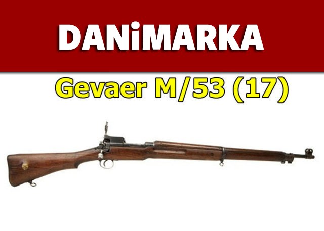 Dünyanın en güçlü ordularının kullandığı tüfekler - 17