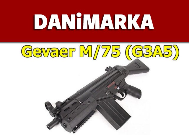 Dünyanın en güçlü ordularının kullandığı tüfekler - 18