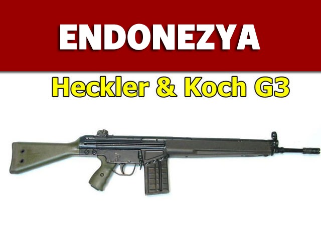 Dünyanın en güçlü ordularının kullandığı tüfekler - 33